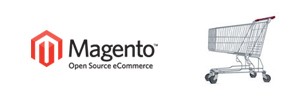 Magento Commerce Website